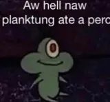 perc30 perc30
