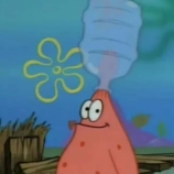 stupiddroplet