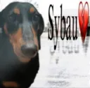 sybau