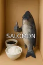 Salomón