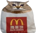 hashcat