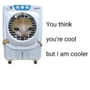 Licht is cooler tryst