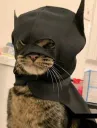 imbatman imbatman