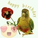 boi happy bday | .gg/aliza