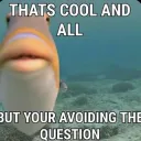 avoiding the question 