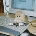 puter cat