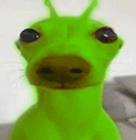 Alien dog