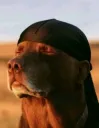 durag