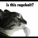 Rage bait