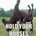 hold your horses