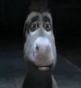donkey
