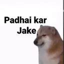Padhai kar lolu