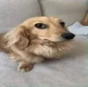 Sein