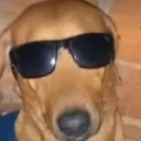 Eu