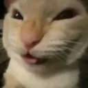 Kkkk