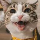 Feliz 