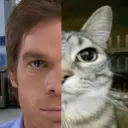Dex-cat