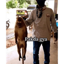 Pakda gya gghasrat