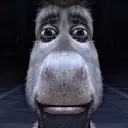 donkey