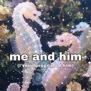 I’ve impregnated him