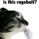 Samosa the ragebaiter 