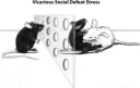 Vicarious social defeat