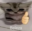 beleza