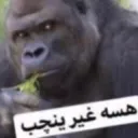 هسه غير ينجب