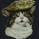 Catwich