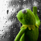 Sapo triste