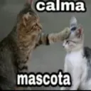 Calmamascota