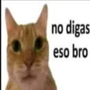 NoDigasEsoBro