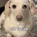 okayfreak