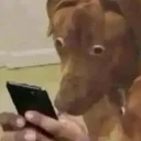 whatamilookingat?