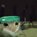 Minecraft kitty