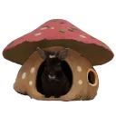 foofy_mushroom_house