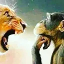 Ragebait aint working fool