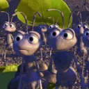 Bug's Life stare