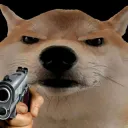 Doge gun