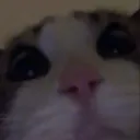 HII