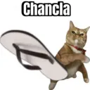 Cat throws chancla 