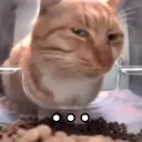 uhhhh