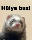 hülye