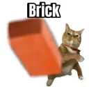 Cat Brick