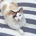 Let’s make a trade