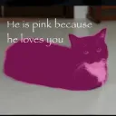 He is PInk