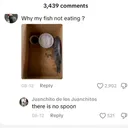 No Spoon
