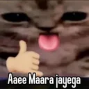 Aaee mar jayega