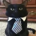 business