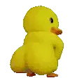 pato rebolando